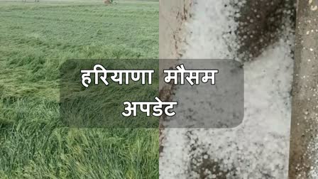 Weather update in Haryana