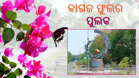 ସନ୍ତ ଋତୁର ଆଗମନରେ କାଗଜ ଫୁଲରେ ଘୋଡାଇ ହୋଇଛି ସମ୍ପୂର୍ଣ୍ଣ ରିଂ ରୋଡ