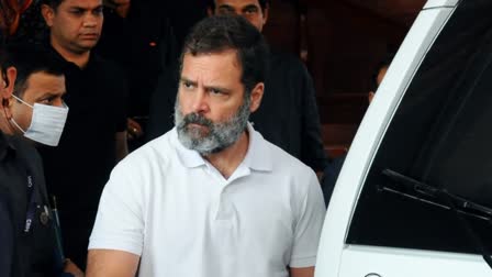 Rahul Gandhi file appeal on defamation case  Rahul Gandhi file appeal  Rahul Gandhi defamation case  Congress Leader Rahul Gandhi  Rahul Gandhi  Surat sessions Court  മോദി പരാമര്‍ശത്തിലെ അപകീര്‍ത്തി കേസ്  അപകീര്‍ത്തി കേസ്  അപ്പീല്‍ നല്‍കാന്‍ രാഹുല്‍ ഗാന്ധി  രാഹുല്‍ ഗാന്ധി നാളെ സൂറത്തില്‍  രാഹുല്‍ ഗാന്ധി  പിന്തുണയര്‍പ്പിക്കാന്‍ നേതാക്കളും  ലോക്‌സഭ തെരഞ്ഞെടുപ്പ്  സൂറത്ത് കോടതി  രാഹുല്‍  അമിത് ചാവ്‌ദ