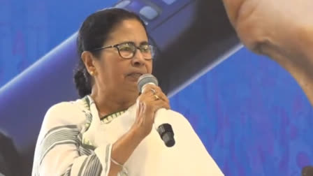 Mamata Slams BJP on Violence