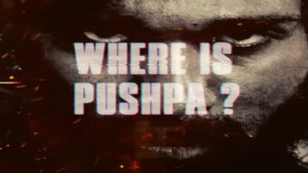 The hunt begins! Pushpa: The Rule teaser out on the eve of Allu Arjun's 41st birthday