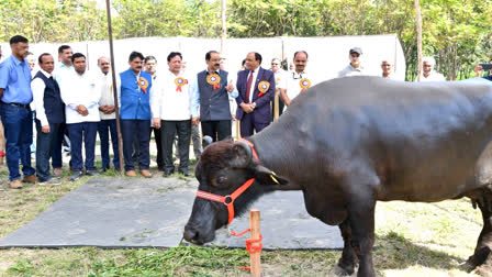 Dairy Exhibition in Karnal NDRI