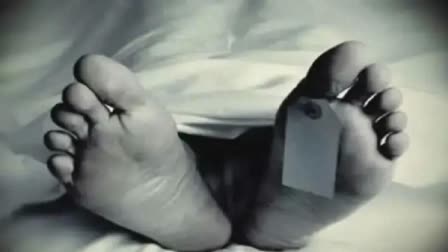 Elderly man kills wife and commits suicide over financial stress