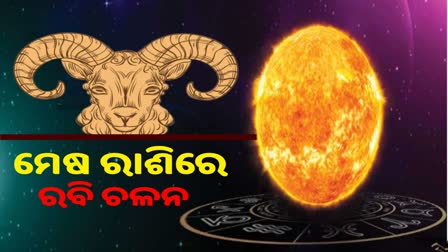 sun transit special horoscope