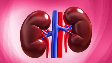 Kidney diseases