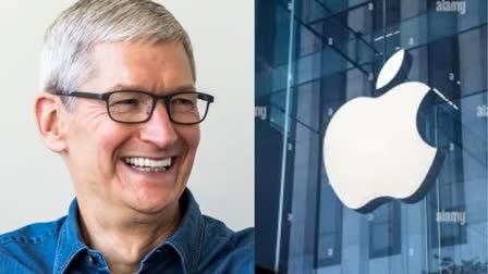 Etv BharatApple CEO Tim Cook