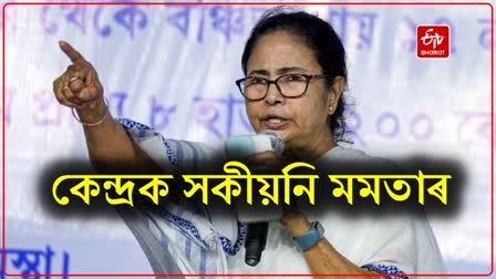 Mamata opposes NRC again