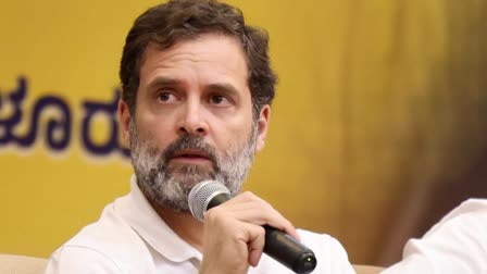 surat court verdict on rahul gandhis plea  modi defarmation case  rahul gandhi  surat court  മോദി പരാമർശത്തിലെ അപകീർത്തി കേസ്  രാഹുൽ ഗാന്ധി  രാഹുൽ ഗാന്ധി ഹർജി