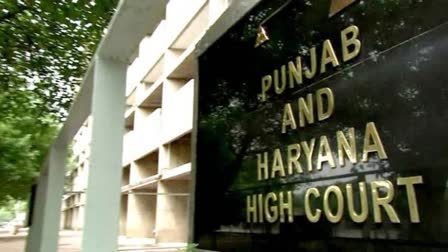 punjab haryana high court