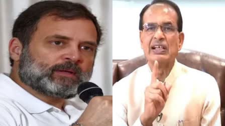 rahul gandhi and shivraj singh