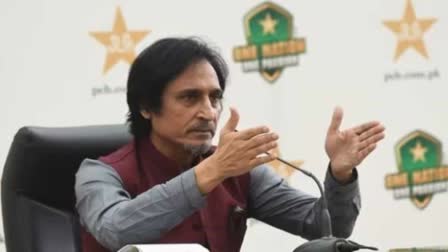 rameez raja