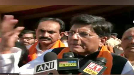 Condemn people who spread negativity: Piyush Goyal on Malik remarks