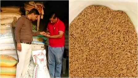 know difference between fack and real paddy seeds