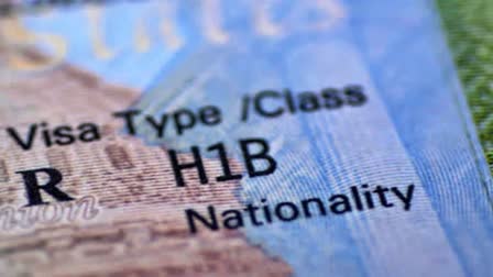 H 1B Visa