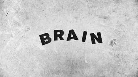 Cognitive flexibility is essential to navigating a changing world-new research in mice shows how your brain learns new rules