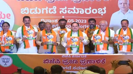 BJPs manifesto for Karnataka election