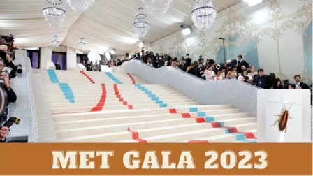 Met Gala 2023