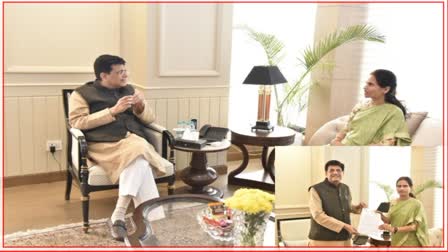 Union Commerce Minister Piyush Goyal