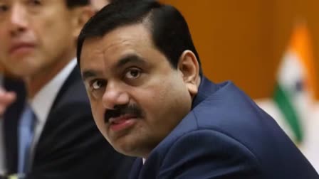 mauritius-minister-says-we-do-not-have-any-fake-company-of-adani-hindenburgs-allegations-are-false