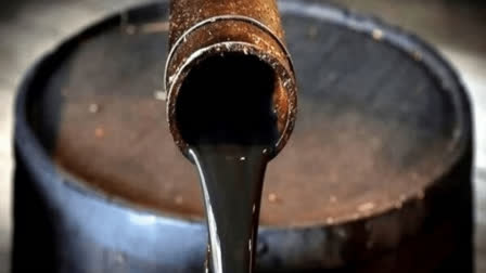 domestic crude oil