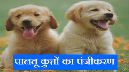 pet dog registration in haryana