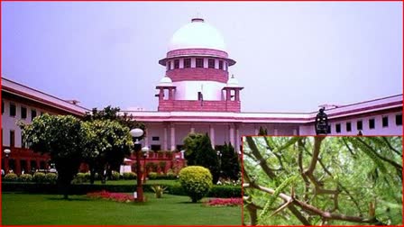 Himachal gets permission from Supreme Court