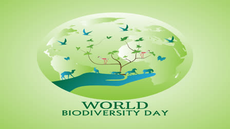 international day for biological diversity