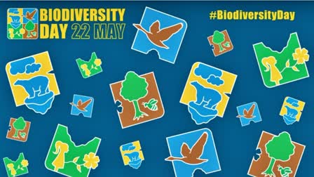 International Day for Biodiversity