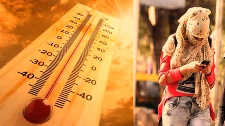 Temperature India:  રવિવારે સુરજ દાદાએ કર્યું મથુરામાં રાજ, ભારતમાં સૌથી વધુ તાપમાન મથુરાનું નોંધાયું