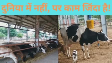 Shivendra Tiwari dairy business