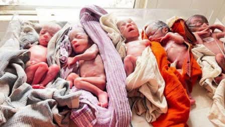 Woman begets all girl quintuplets at Ranchis RIMS  ഒറ്റ പ്രസവത്തില്‍ 5 പെണ്‍ കുരുന്നുകള്‍  ജാര്‍ഖണ്ഡില്‍ ആദ്യ സംഭവം  കുഞ്ഞുങ്ങള്‍ നിരീക്ഷണത്തില്‍  ജാര്‍ഖണ്ഡ് സ്വദേശിയായ യുവതി  റാഞ്ചി വാര്‍ത്തകള്‍  റാഞ്ചി പരുതിയ വാര്‍ത്തകള്‍  പ്രസവം  Ranchi news updates  latest news in Ranchi