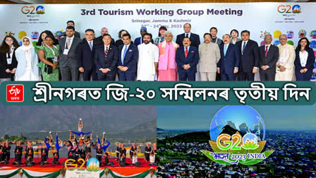 G20 Summit in JK