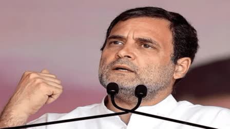 Etv BharatIndian Overseas Congress invites NRIs to interact with Rahul Gandhi