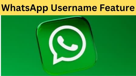 Etv BharatWhatsApp Username Feature