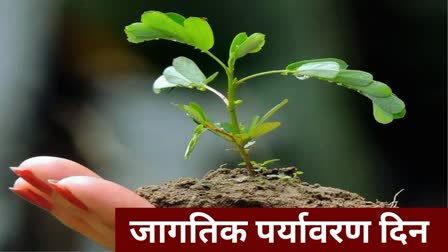 World Environment Day 2023