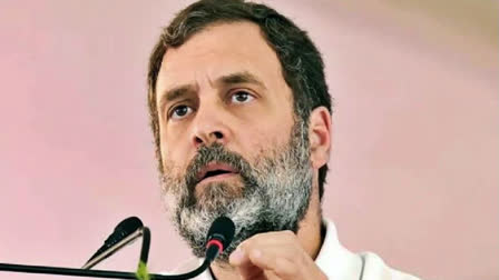 There is need to have appropriate regulations on data safety and security, says Rahul Gandhi