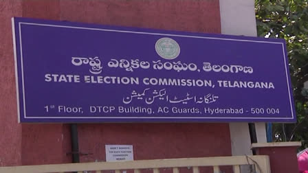 EC Instructions for TS Assembly Elections