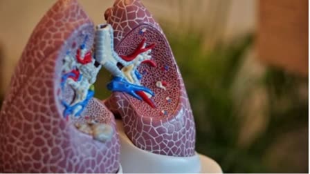 Lung Cancer New Drug