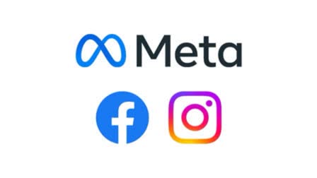 Meta Blue Tick Subscription