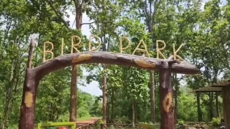 Hundreds of birds died in Lamani Bird Park