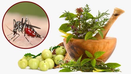 Ayurveda can also treat malaria