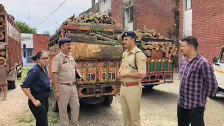 Gagret police action against wood smugglers.