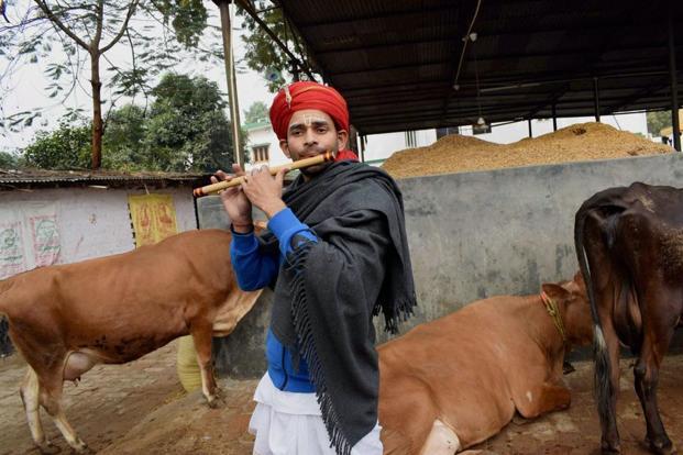 tej pratap yadav