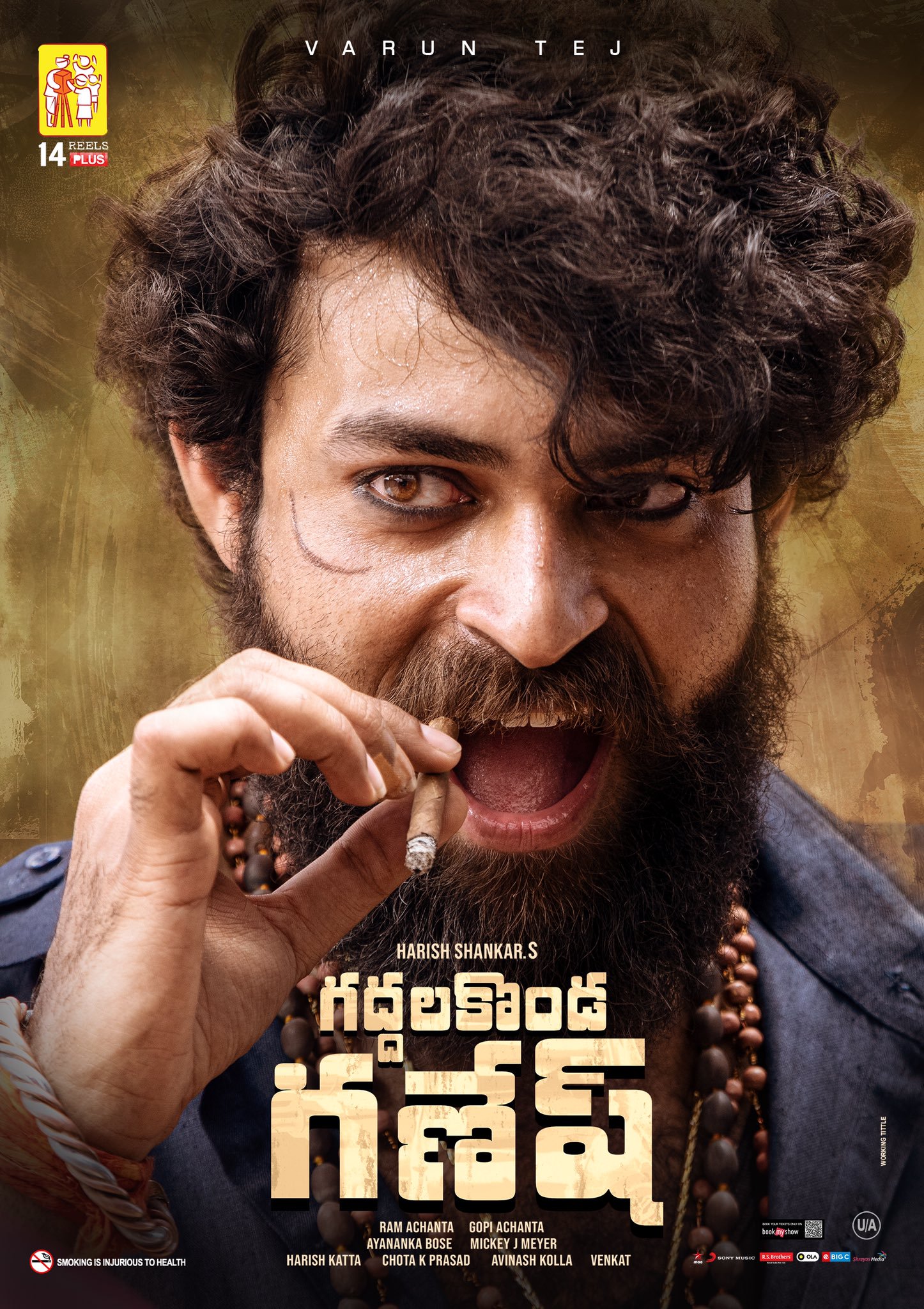 varuntej in gaddalakonda ganesh