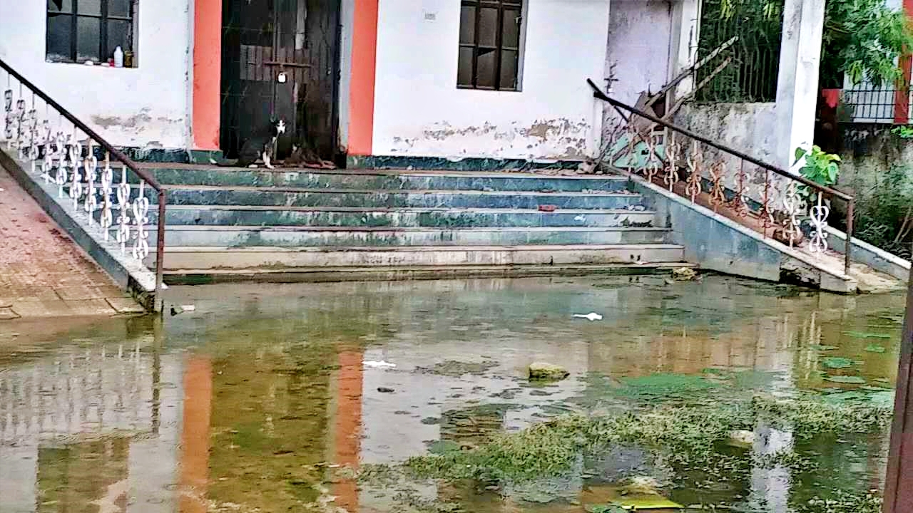 Post Mortem House is in poor condition