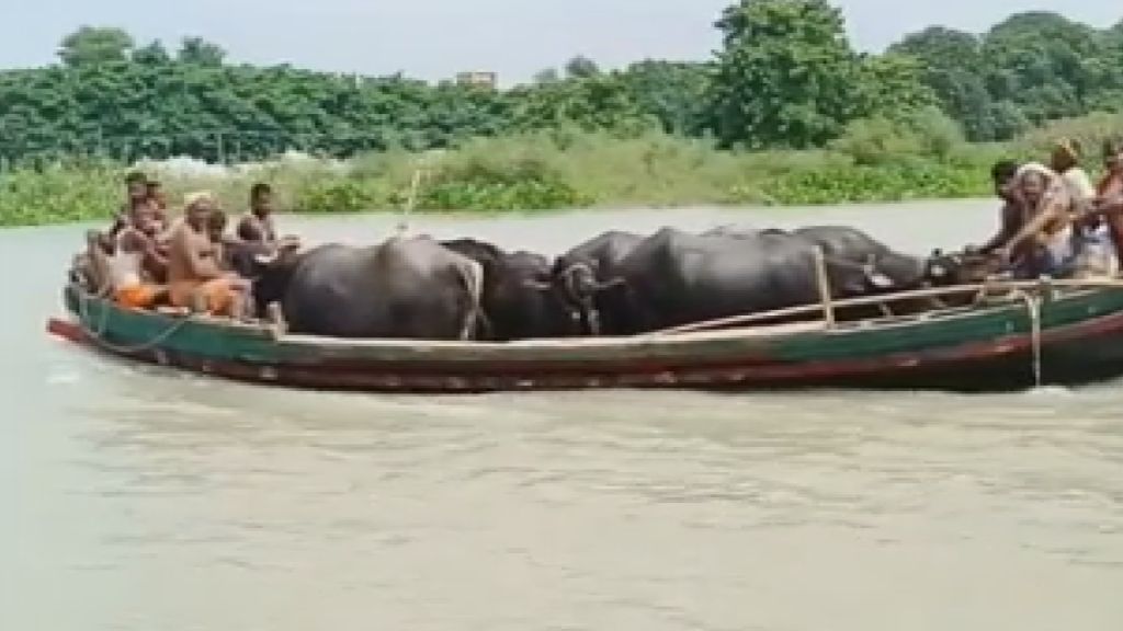 flood in five panchayat of begusarai