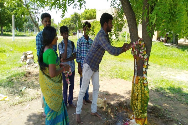 Neem tree