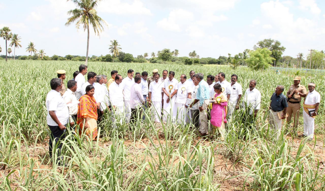 target set by sugarcane production