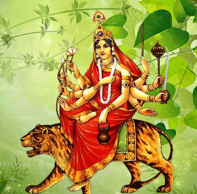 Shardiya Navratri,  शारदीय नवरात्र  जयपुर शारदीय नवरात्र की खबर,  jaipur shardiya navratri news,  मां के नौ रूप,  nine forms of maa durga