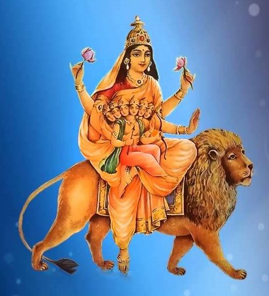 Shardiya Navratri,  शारदीय नवरात्र  जयपुर शारदीय नवरात्र की खबर,  jaipur shardiya navratri news,  मां के नौ रूप,  nine forms of maa durga